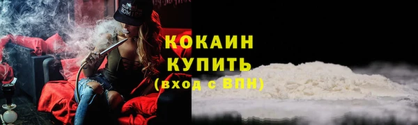 амф Вуктыл
