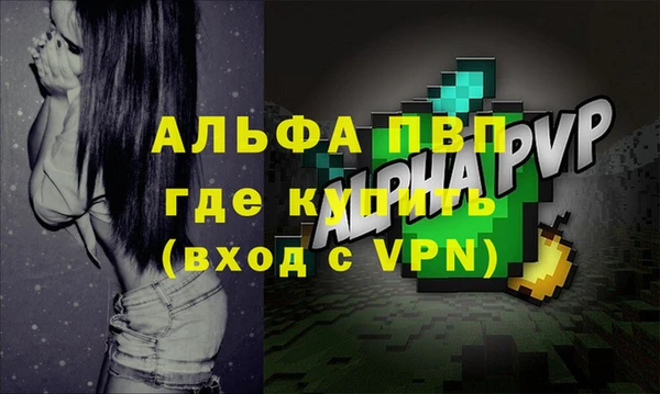 амф Вуктыл