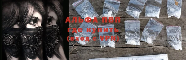 амф Вуктыл