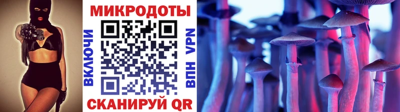 дарнет шоп  Ельня  Псилоцибиновые грибы мицелий 